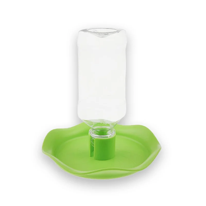 Détails du distributeur d'eau tortue