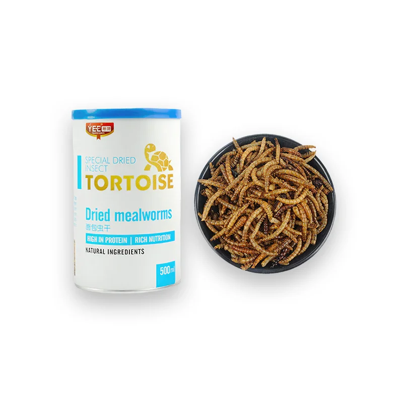 Nourriture tortue et poisson – Image 4