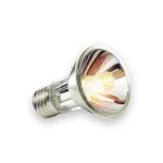 Ampoule tortue lampe UVA UVB