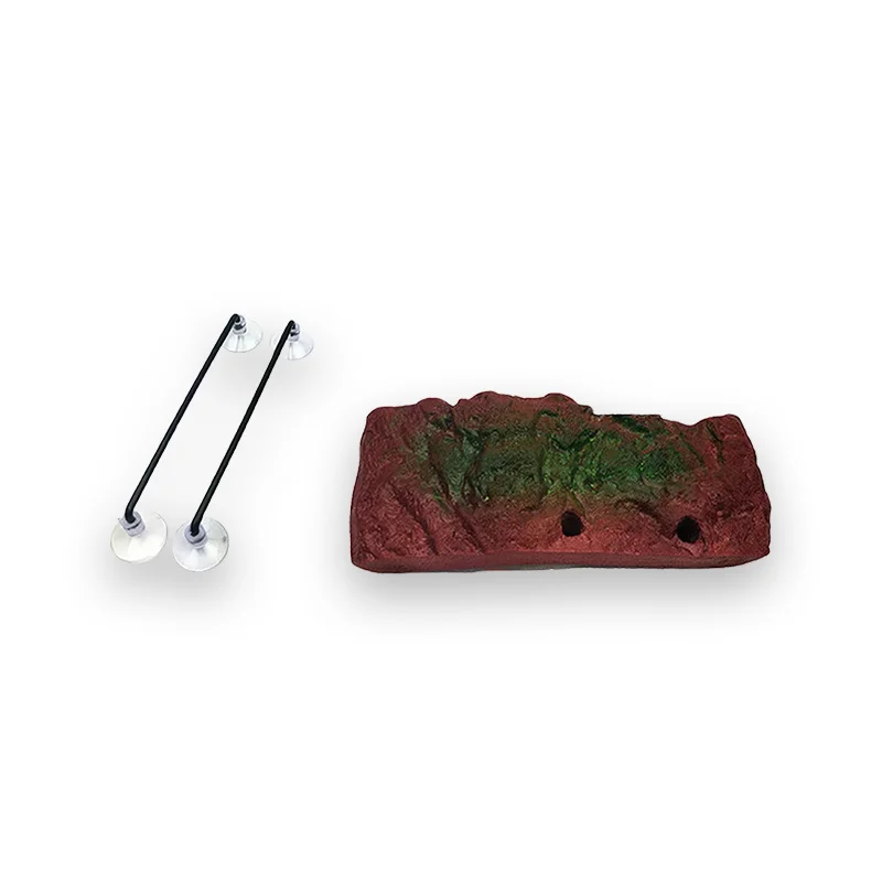 Plateforme Tortue Décor Aquarium