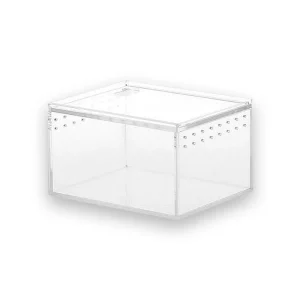 Bac tortue transparent