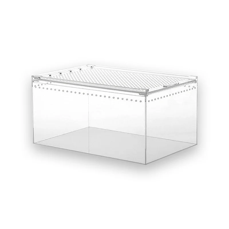 Bac Tortue Transparent