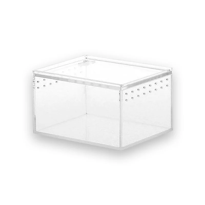 Bac Tortue Transparent