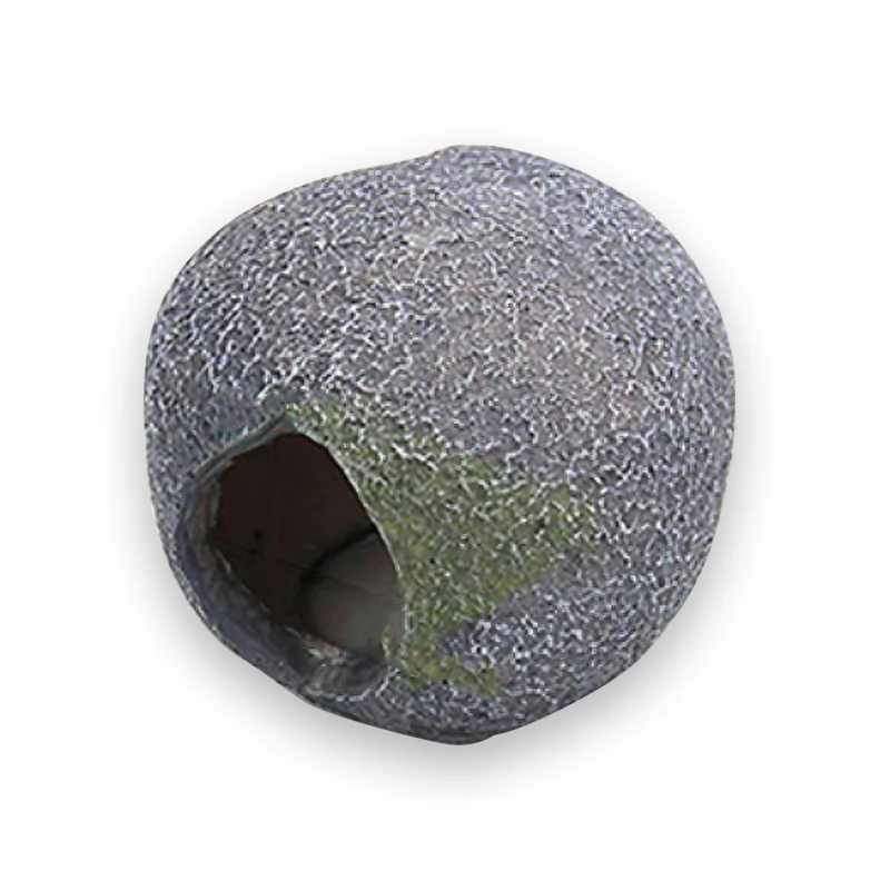 Abri tortue durable