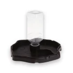 Distributeur eau tortue 2 en 1