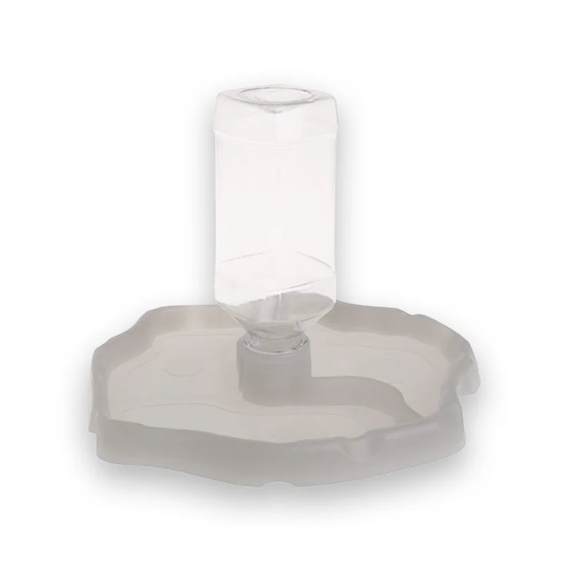 Distributeur d'Eau Tortue 2 en 1 en fonctionnement