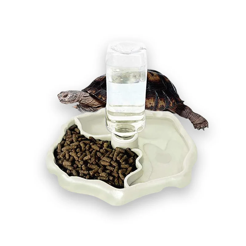 Distributeur 2 en 1 pour tortue