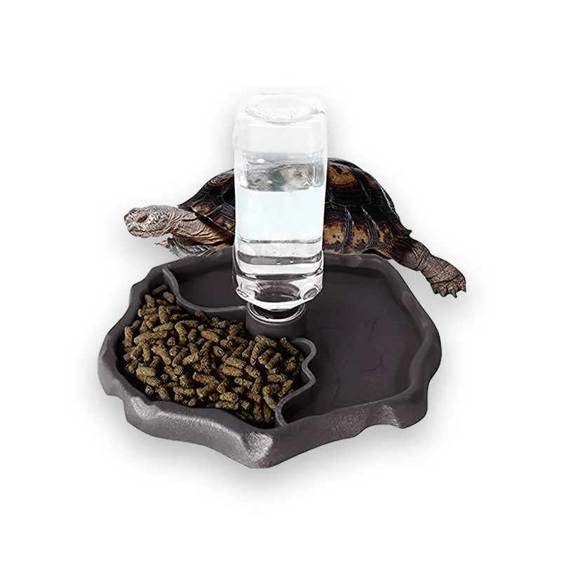 Distributeur pratique pour tortue