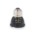 Ampoule tortue mini