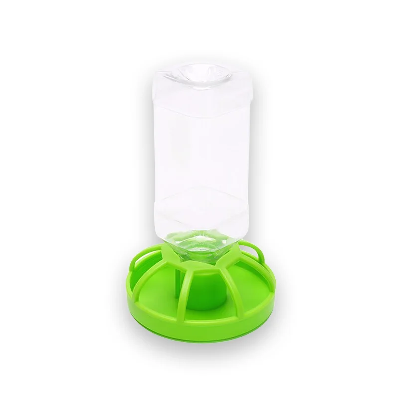 Abreuvoir tortue en plastique
