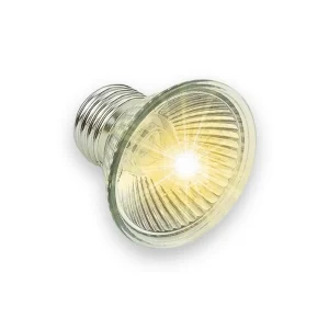 Ampoule tortue supplément de calcium