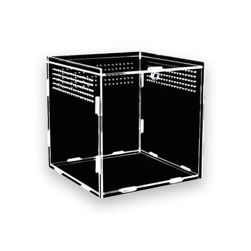 Terrarium tortue reptiles & insectes