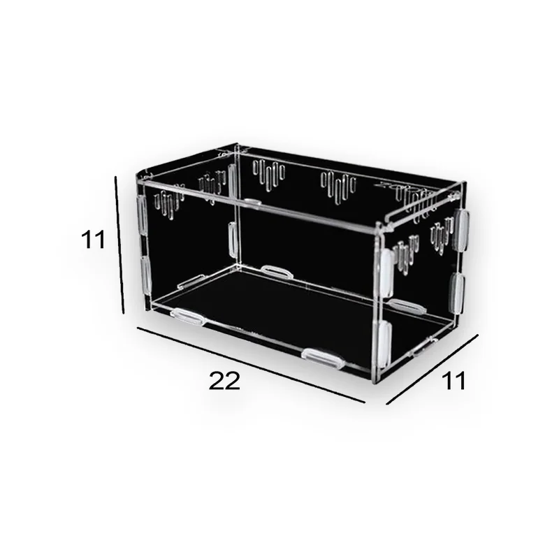 Terrarium tortue reptiles & insectes