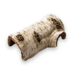 Abri tortue cachette arbre