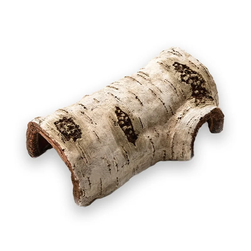 Abri tortue cachette arbre