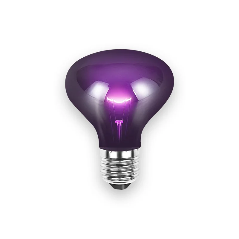 Ampoule tortue éclairage violet