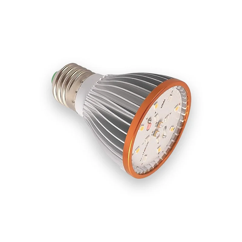 Ampoule tortue chauffante complète en action