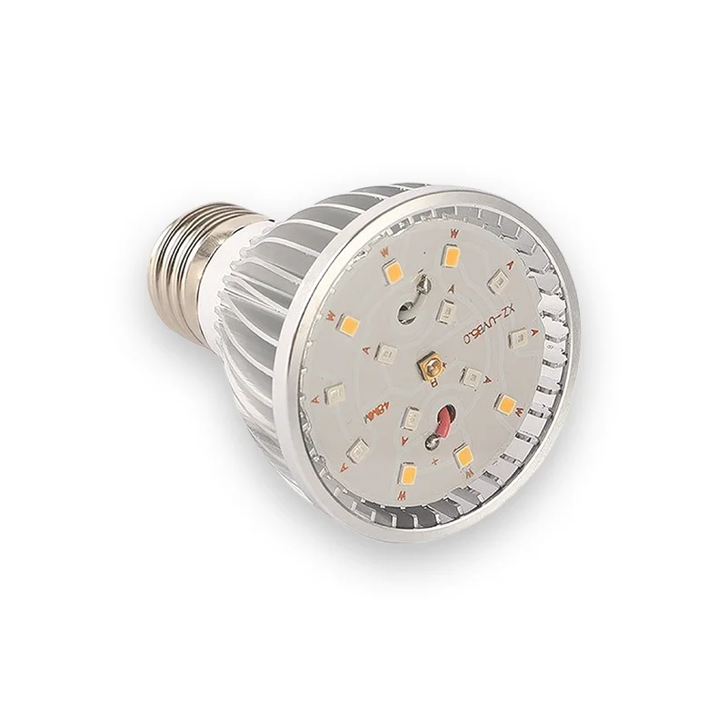 Ampoule tortue chauffante complète