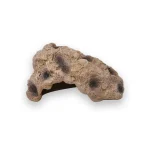 Abri tortue grotte de reptiles