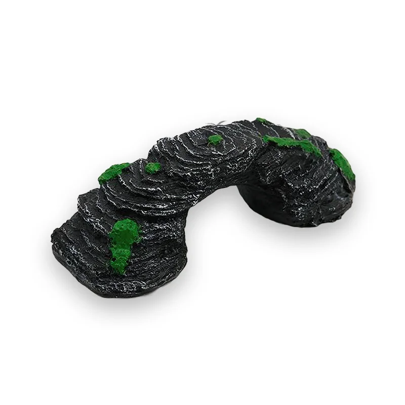 Plateforme tortue escalade – Image 4