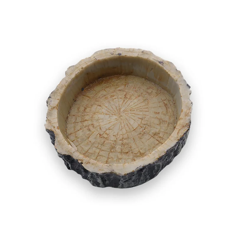 Gamelle Tortue Rocher en Résine