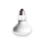 Ampoule tortue lumière du jour