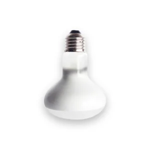 Ampoule tortue lumière du jour