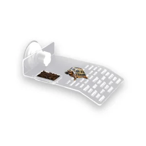 Plateforme tortue transparente