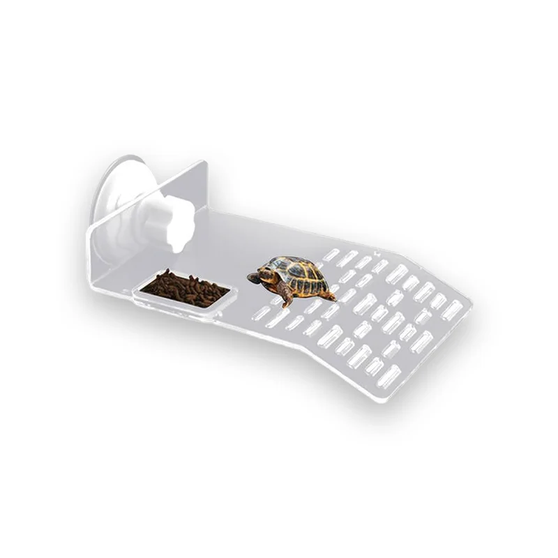 Plateforme tortue transparente