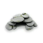 Abri tortue pierres empilées