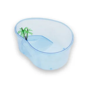 Aquarium avec plante verte