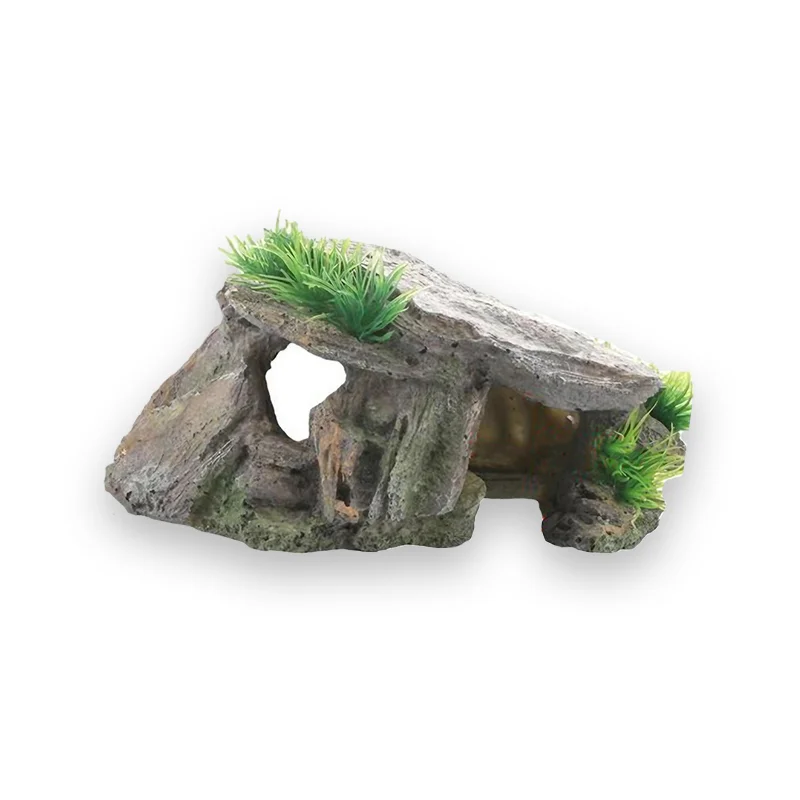 Abri tortue écologique – Image 2