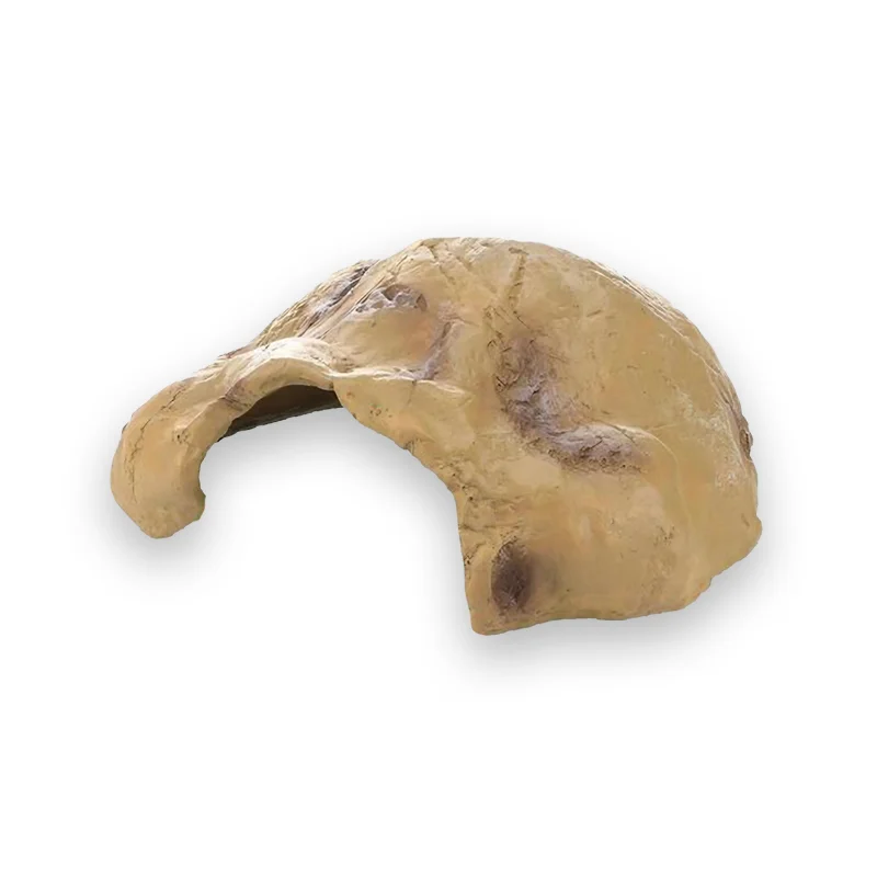 Abri tortue écologique – Image 5