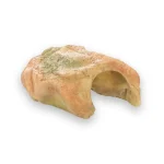 Abri tortue écologique