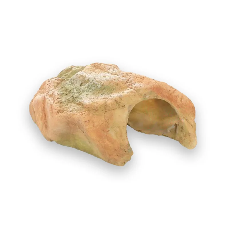 Abri tortue écologique