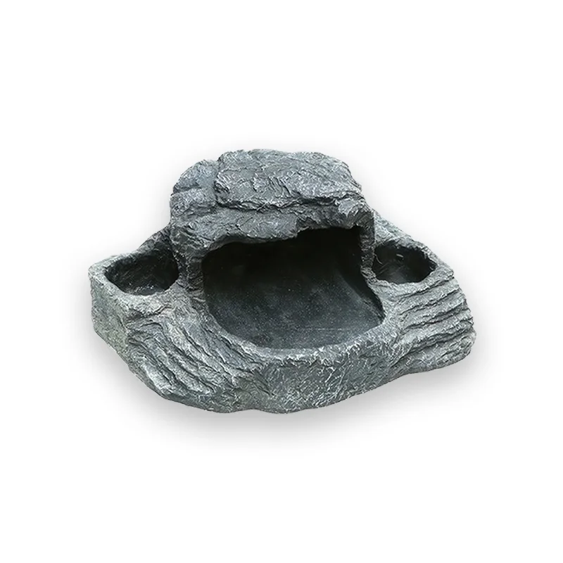 Aquarium tortue complet et design
