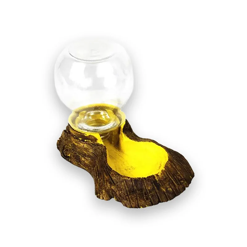 Distributeur d'eau tortue décoratif