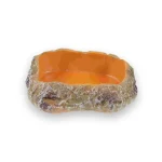 Gamelle tortue aspect naturel