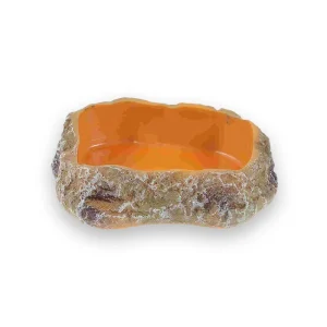 Gamelle tortue aspect naturel