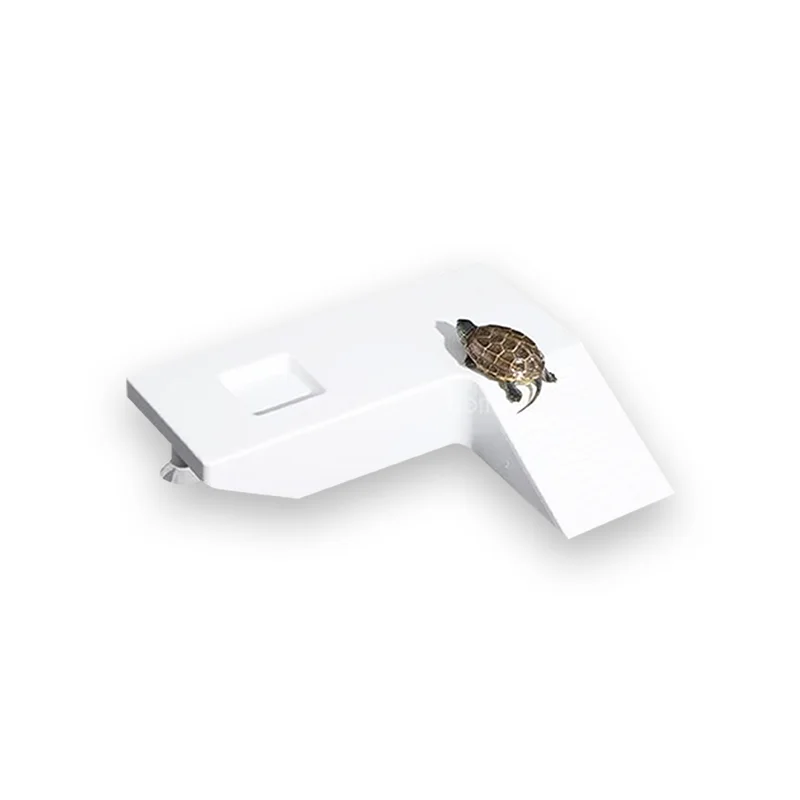 Plateforme Tortue Durable