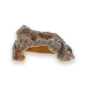 Abri tortue simulation grotte