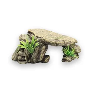 Plateforme tortue grotte