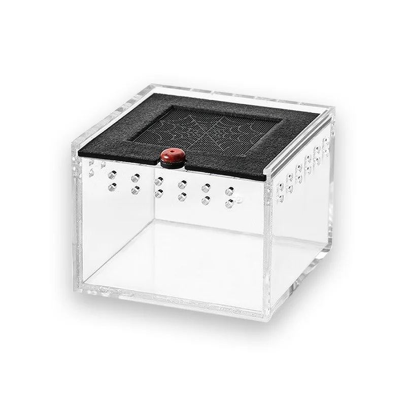 Cage tortue mini