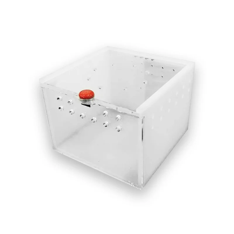 Cage tortue mini – Image 5