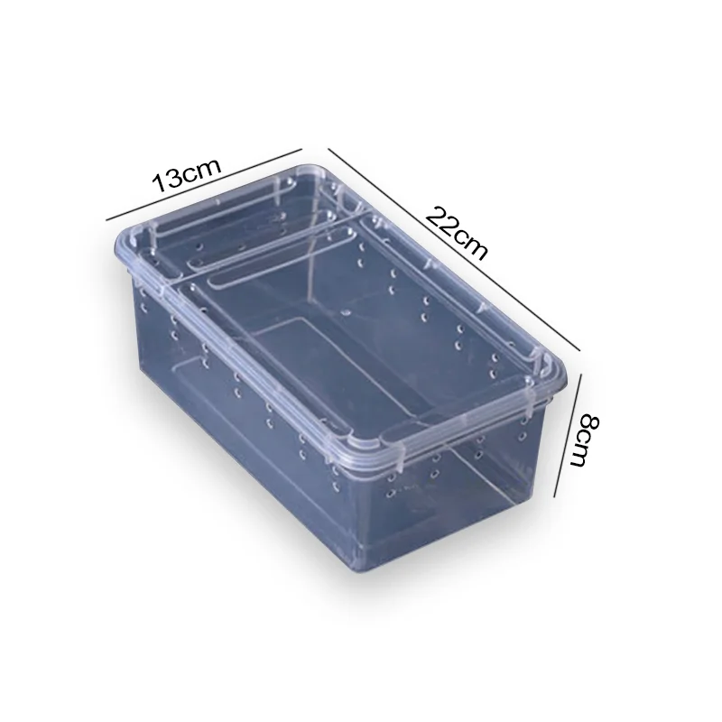 Cage tortue transparente – Image 3