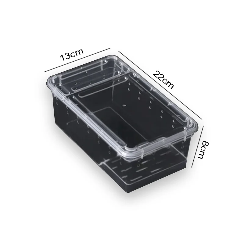Cage tortue transparente – Image 4
