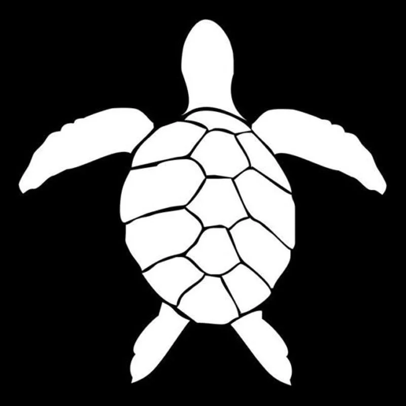 Sticker Tortue sur voiture