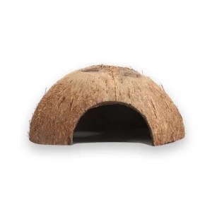 Abri tortue noix de coco