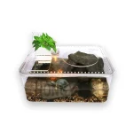 Aquarium tortue transparent