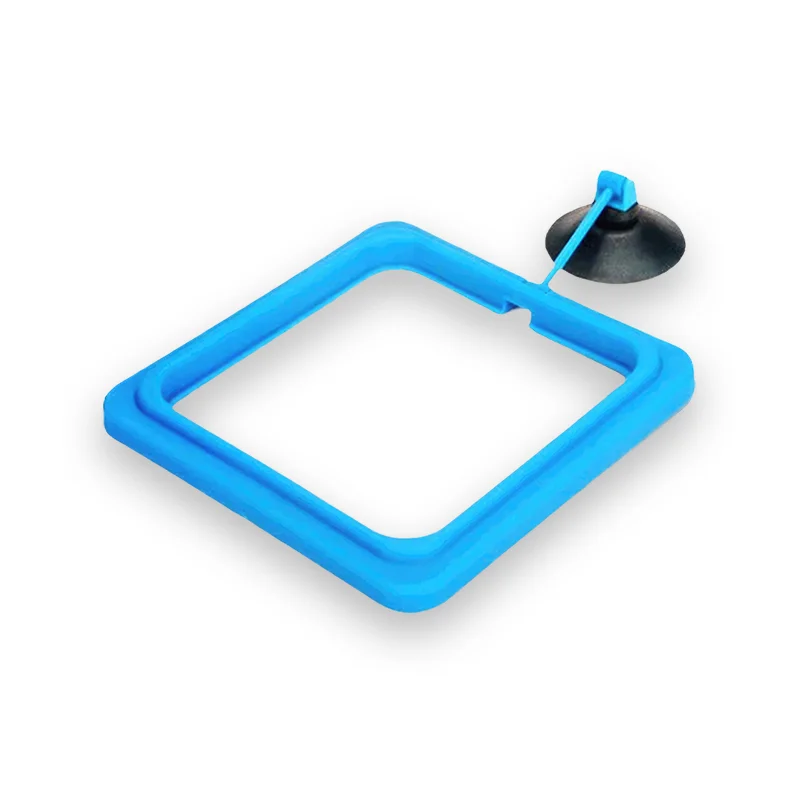 Mangeoire pour tortues et poissons